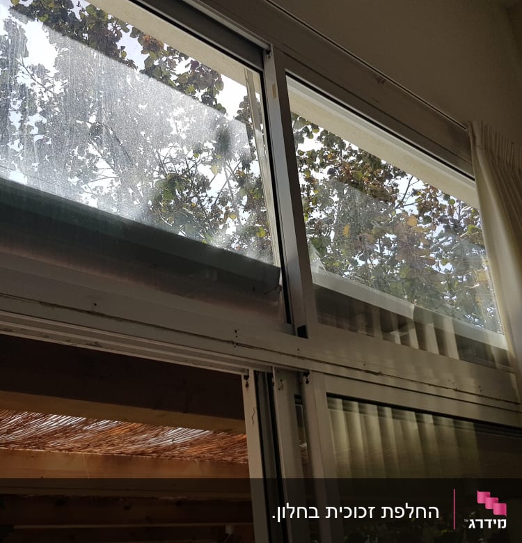 חלון זכוכית עם השתקפות עצים מבחוץ